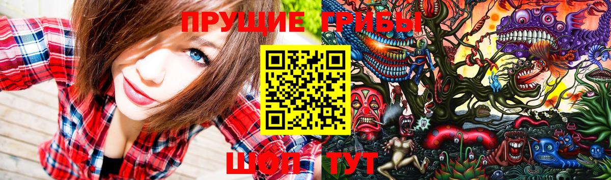 Псилоцибиновые грибы Magic Shrooms Павлово