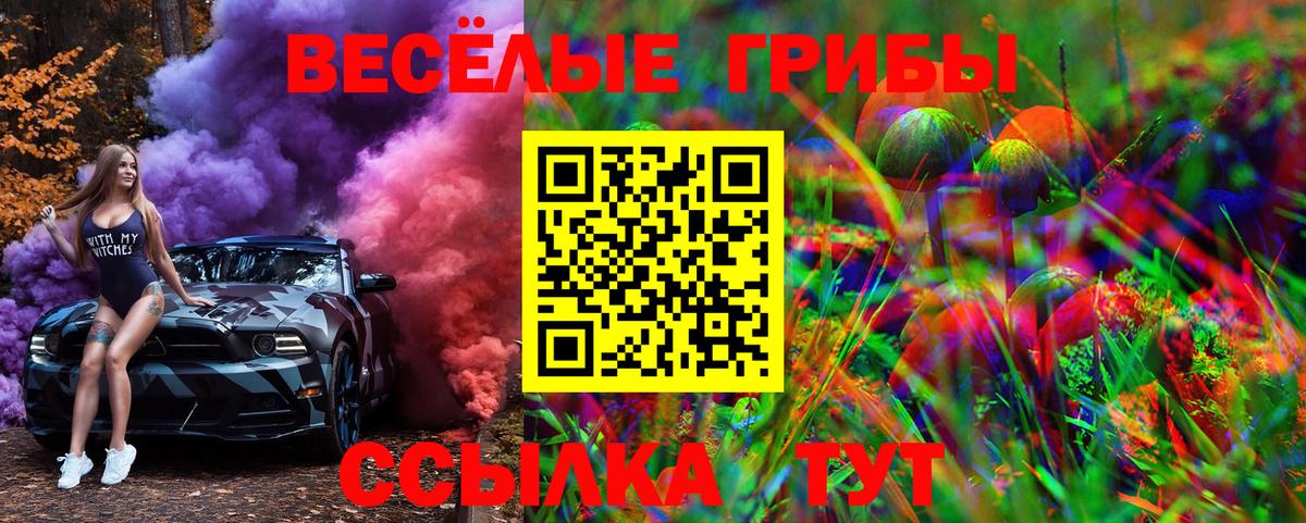 Павлово  Псилоцибиновые грибы мицелий  Псилоцибиновые грибы MAGIC MUSHROOMS  Вход с VPN 