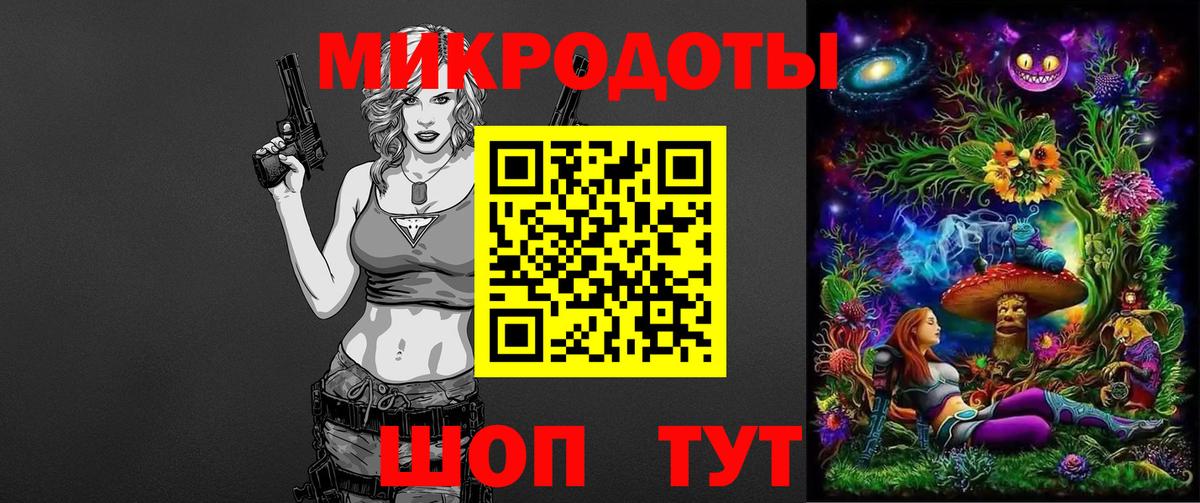 Псилоцибиновые грибы Psilocybine cubensis  Павлово 