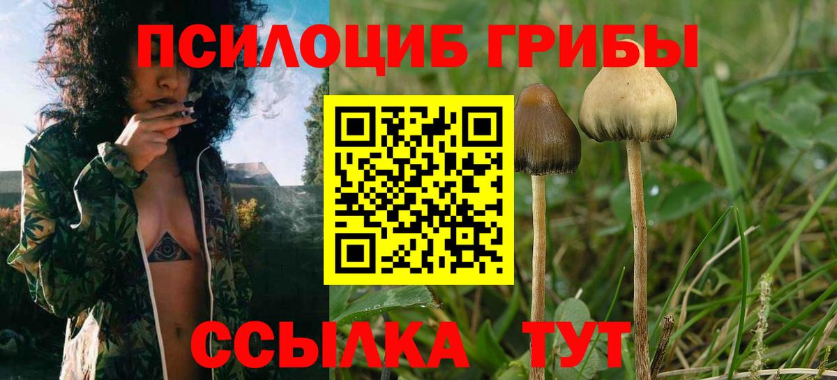 Галлюциногенные грибы GOLDEN TEACHER Павлово