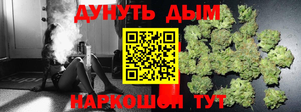 Каннабис SATIVA & INDICA Павлово